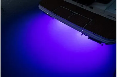 Slide: The Image of Sea Ray SDX 250 2019 - 6