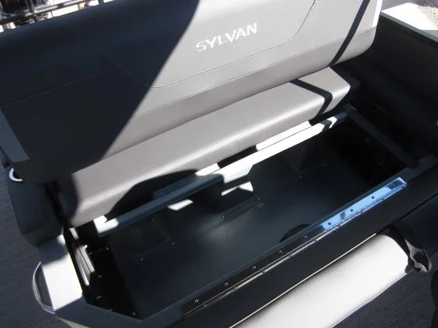 Slide: The Image of Sylvan X3 CLZ DH 2026 - 19