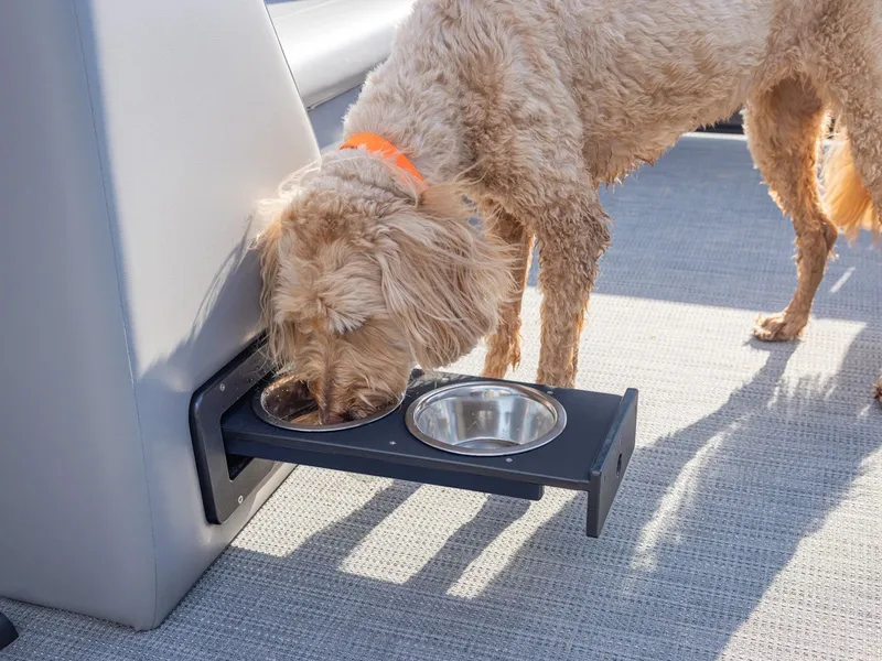 Slide: The Image of Bentley Pontoons LEGACY 220 QSB 2026 - 12