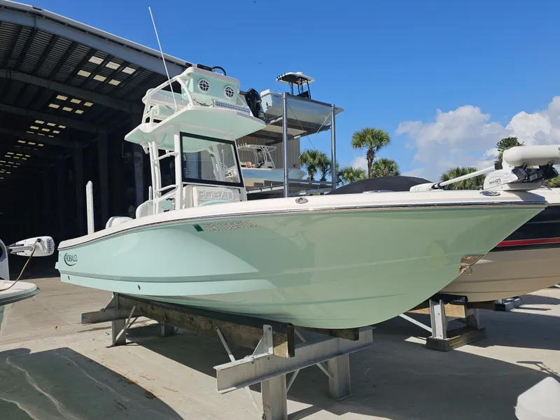 The Image of Robalo Cayman 246 2021 - 0