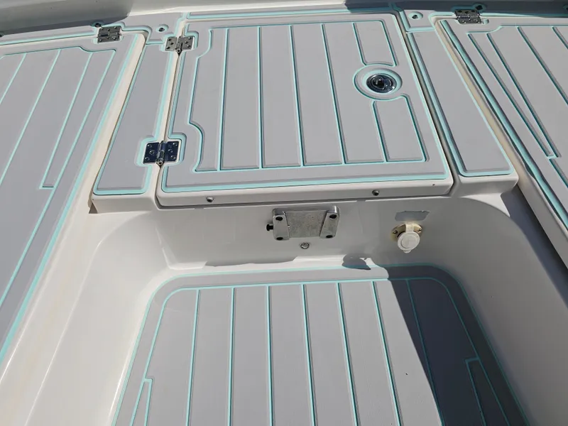 Slide: The Image of Robalo Cayman 246 2021 - 37