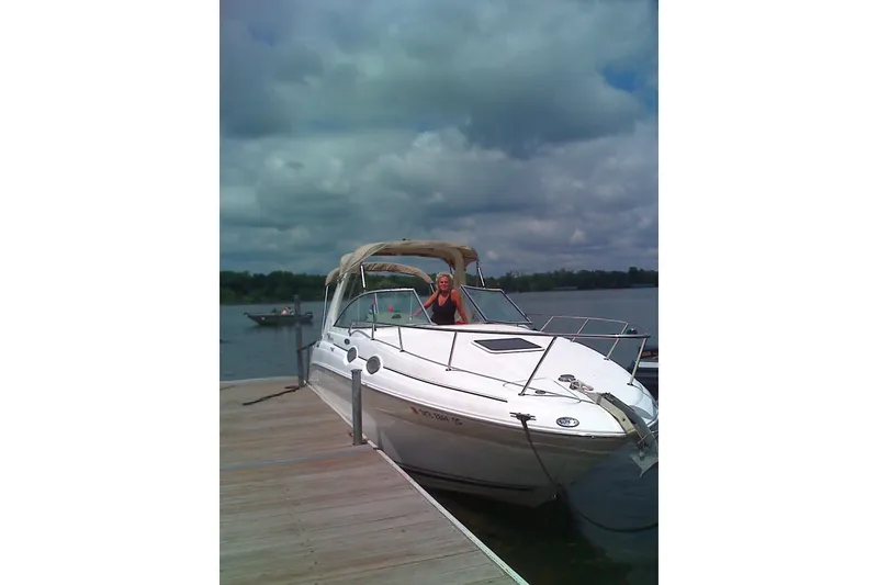 The Image of 2004 Sea Ray Sundancer 260 docked on a cloudy day with a person onboard. - 1