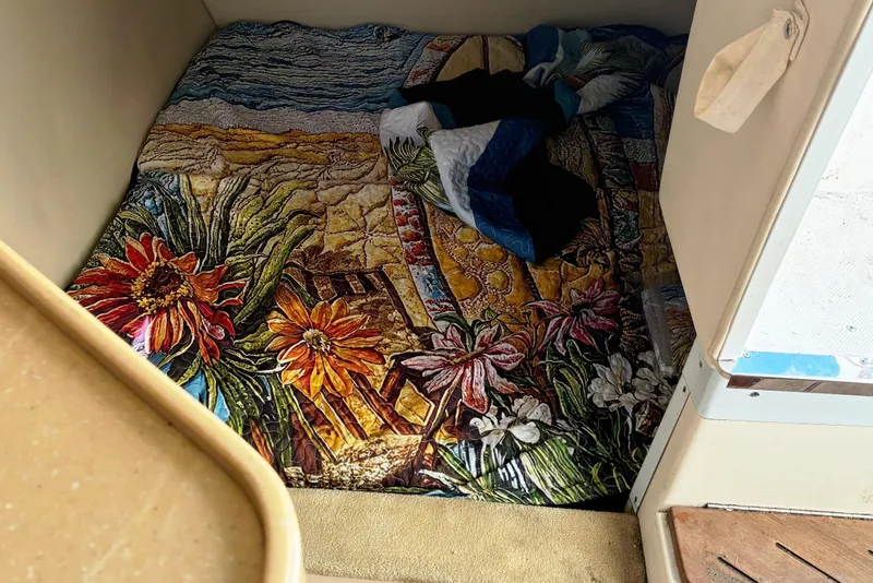 Slide: The Image of Cozy cabin interior of 2011 Regal 2565 Express Cruiser with vibrant floral bedding. - 13