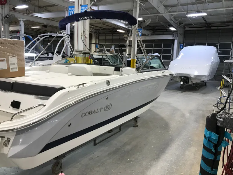 The Image of Cobalt 220S 2024 - 1