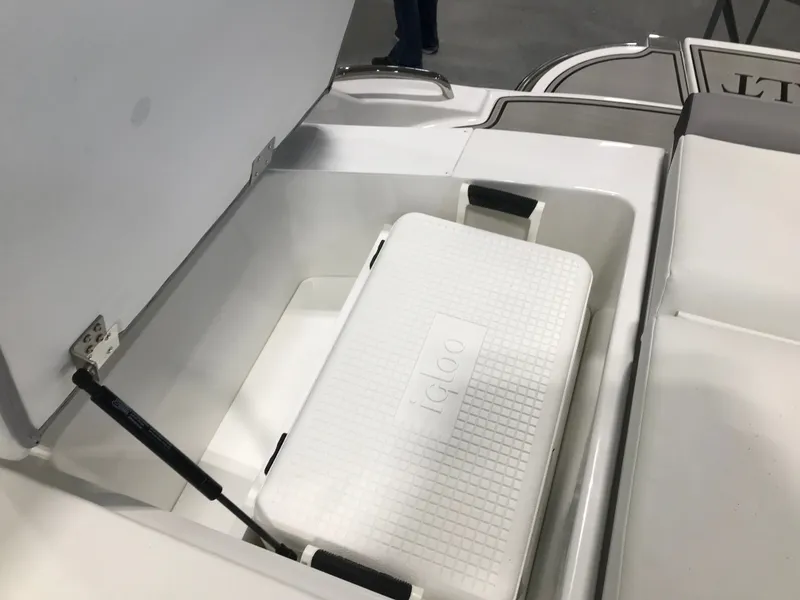 Slide: The Image of Cobalt 220S 2024 - 17