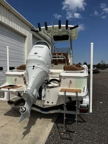 Slide: The Image of Pioneer 222 Islander 2026 - 4