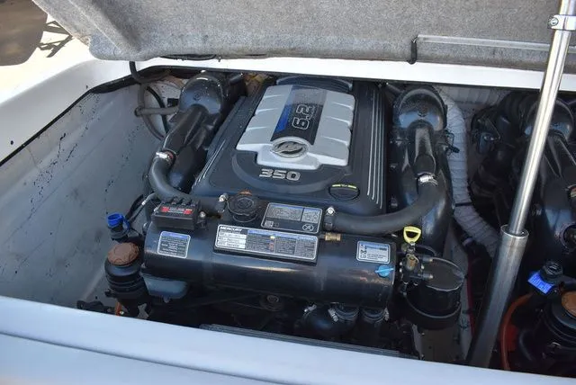 Slide: The Image of Shockwave 29 Magnatude 2020 - 31