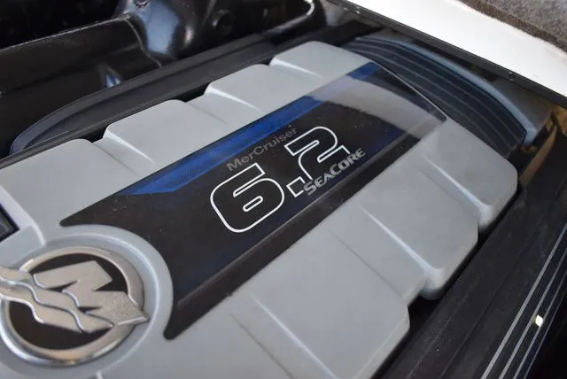 Slide: The Image of Shockwave 29 Magnatude 2020 - 34