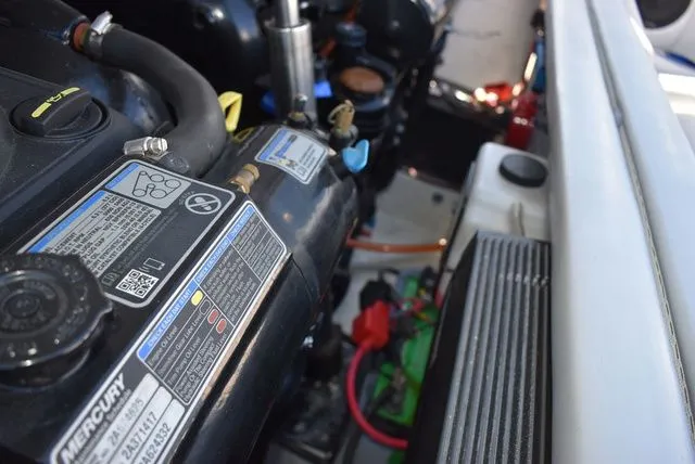 Slide: The Image of Shockwave 29 Magnatude 2020 - 36