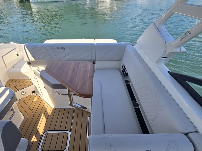 Slide: The Image of Sea Ray SDX 250 2026 - 10