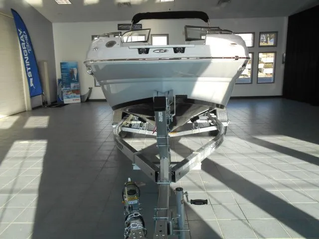 Slide: The Image of Stingray 211 DC 2026 - 4