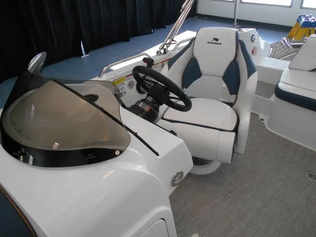 Slide: The Image of Stingray 192 SC 2026 - 19