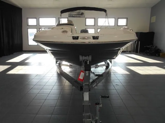 Slide: The Image of Stingray 192 SC 2026 - 5