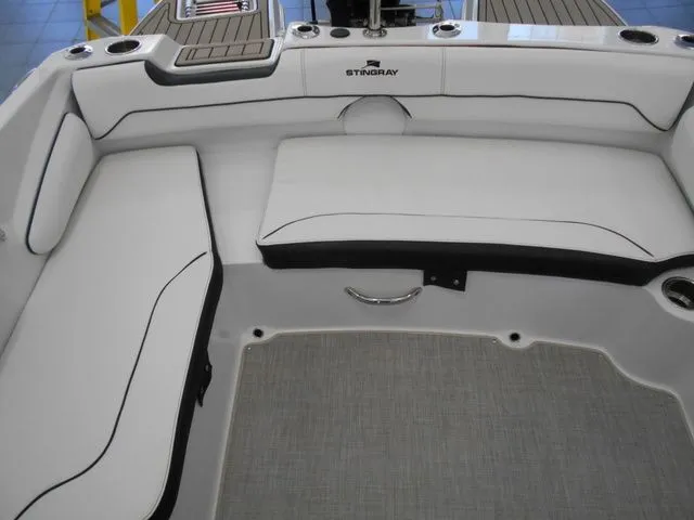 Slide: The Image of Stingray 191 DC 2026 - 19