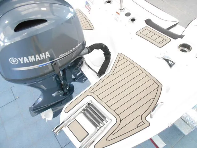 Slide: The Image of Stingray 191 DC 2026 - 7