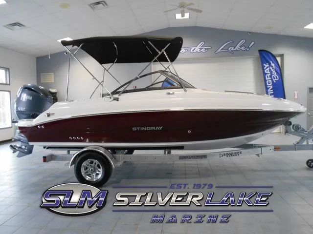 The Image of Stingray 201 DC 2025 - 1