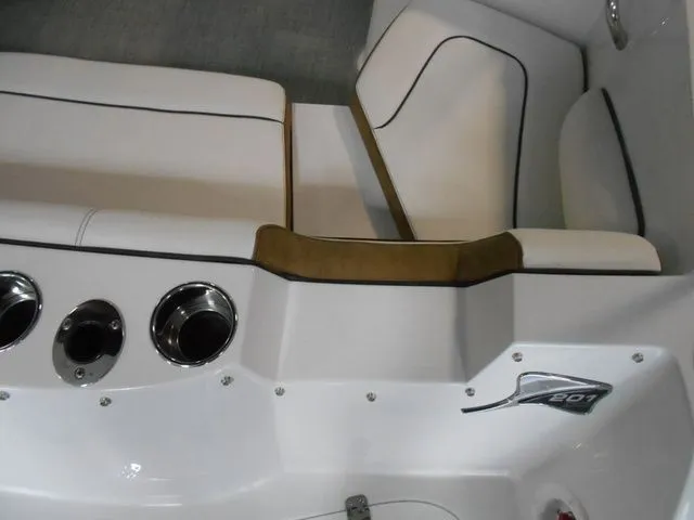 Slide: The Image of Stingray 201 DC 2025 - 11