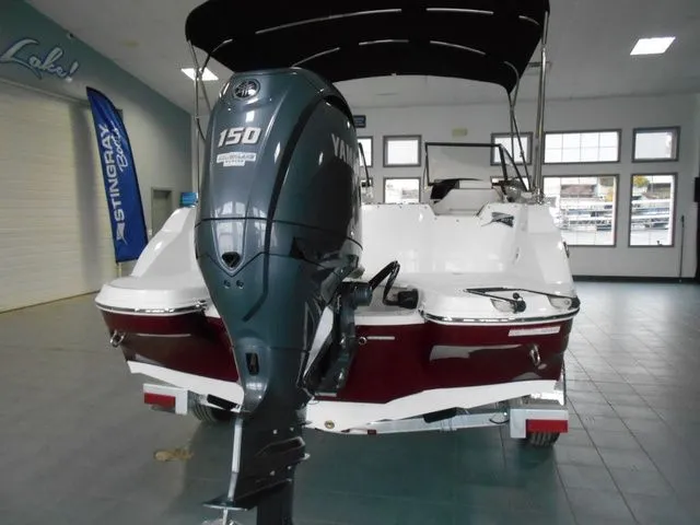 Slide: The Image of Stingray 201 DC 2025 - 3