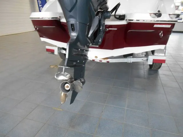 Slide: The Image of Stingray 201 DC 2025 - 4