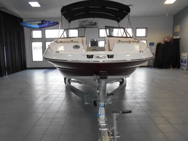 Slide: The Image of Stingray 201 DC 2025 - 6