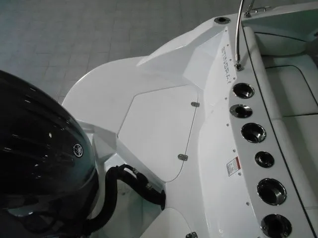 Slide: The Image of Stingray 201 DC 2025 - 7