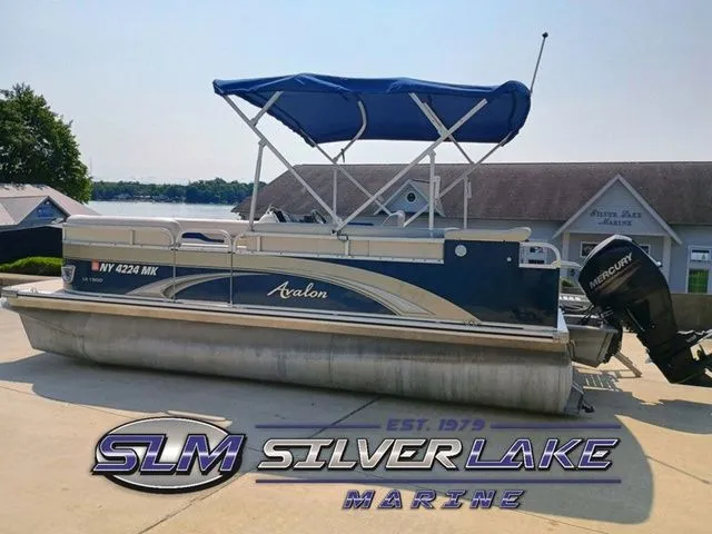 The Image of Avalon LS Cruise 19' 2014 - 1