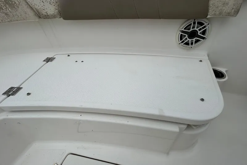 Slide: The Image of 2019 Robalo R242 Explorer boat interior with storage compartment and speaker. - 67