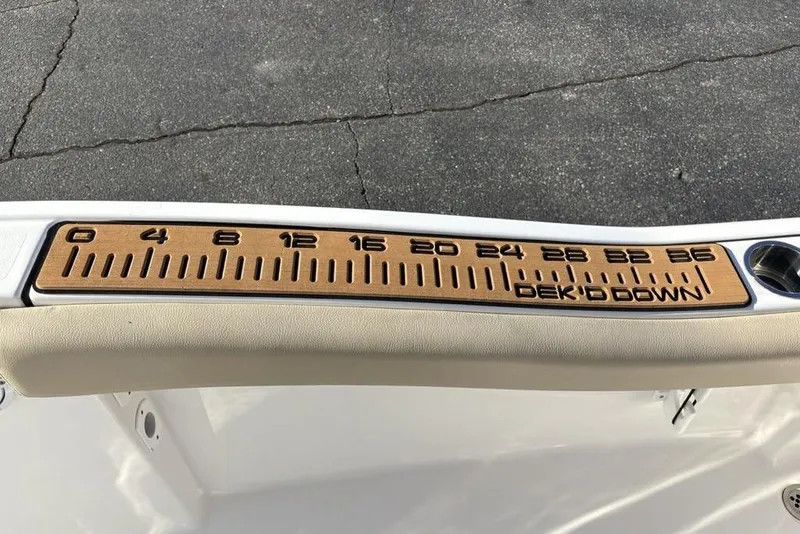 Slide: The Image of Ruler on 2018 Tidewater 210 LXF boat, featuring "DEK'D DOWN" branding. - 21