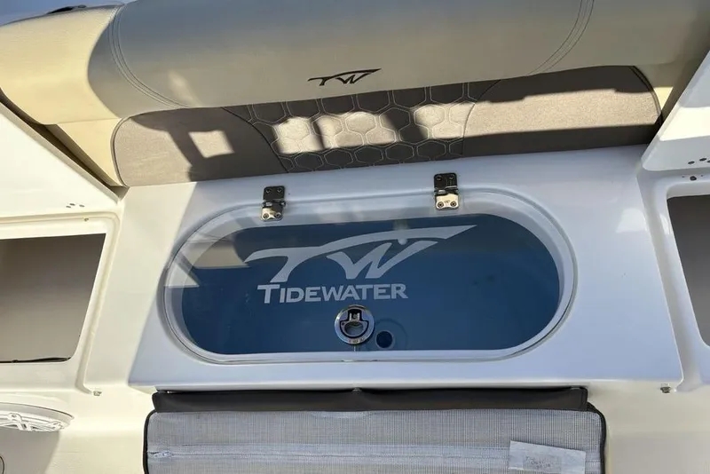 Slide: The Image of Tidewater 210 LXF 2018 boat rear with logo. - 29