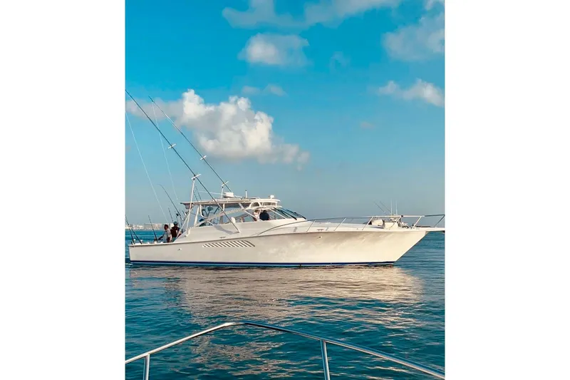 The Image of Viking 45 Convertible 2004 - undefined