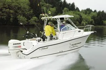 The Image of Seaswirl Striper 2101 Walkaround O/B 2004 - undefined