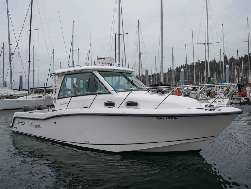 The Image of Boston Whaler 315 CONQUEST PH 2015 - 1
