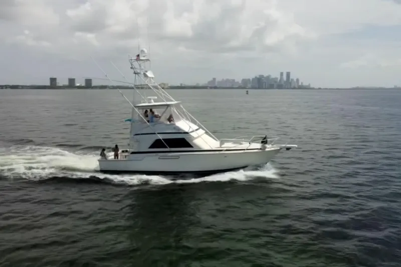 Slide: The Image of 1988 Bertram 43 Flybridge cruising on water with city skyline in background. - 4