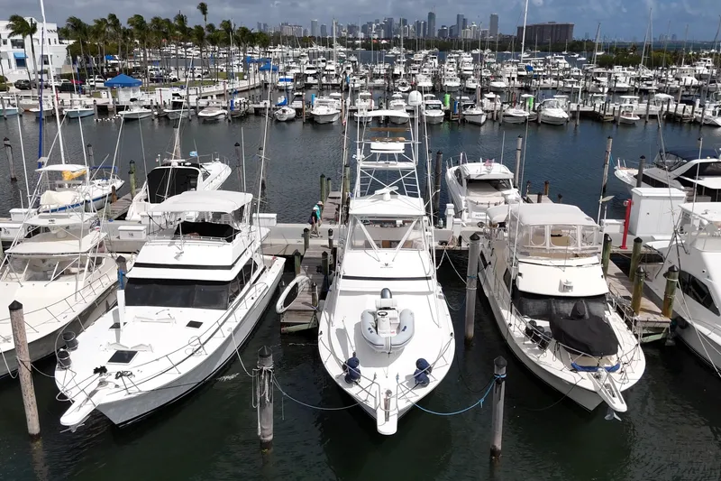 Slide: The Image of Marina with 1988 Bertram 43 Flybridge among docked boats, city skyline in background. - 8