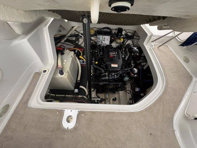 Slide: The Image of Crownline Boats 250 CR 2008 - 63