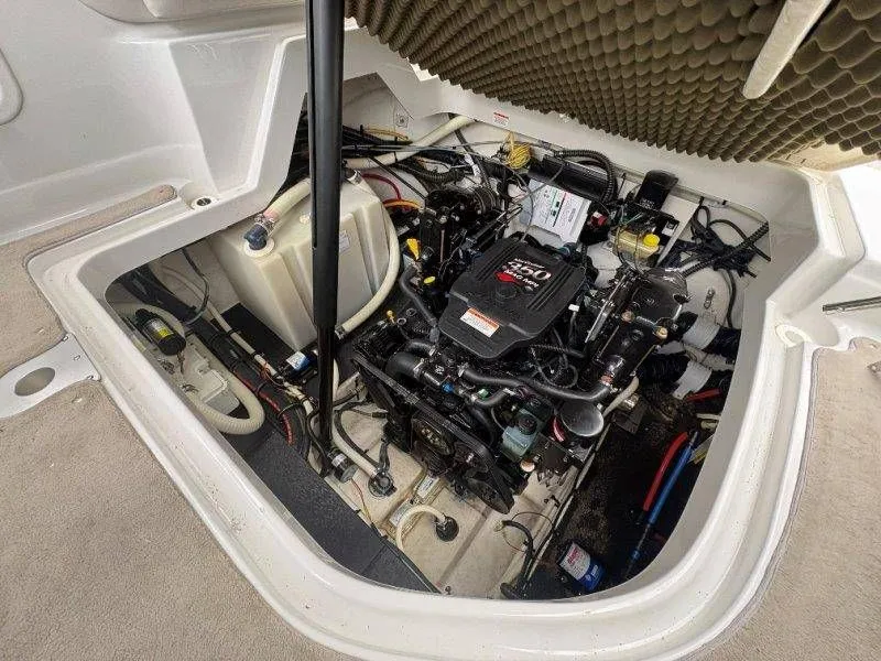 Slide: The Image of Crownline Boats 250 CR 2008 - 66