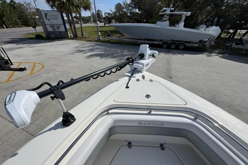 Slide: The Image of 2026 Blackwood 270 LXF boat with trolling motor at marina. - 19