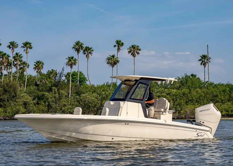 The Image of Scout 261 XSS 2026 - 1