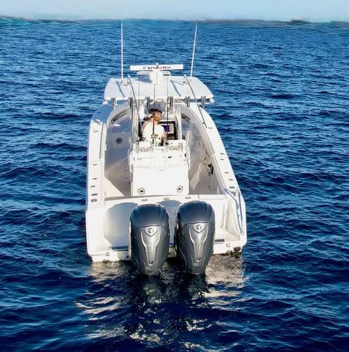 Slide: The Image of 2008 Jupiter 38cc - Image 3 - 3