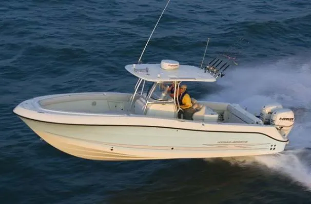 The Image of Hydra-Sports Vector 2900 CC 2008 - undefined