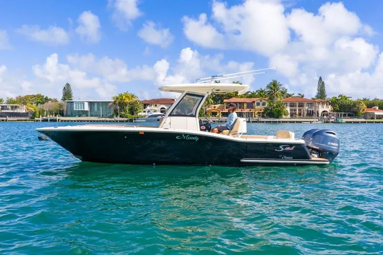 Slide: The Image of 2020 Scout 277 Lxf - Image 3 - 3