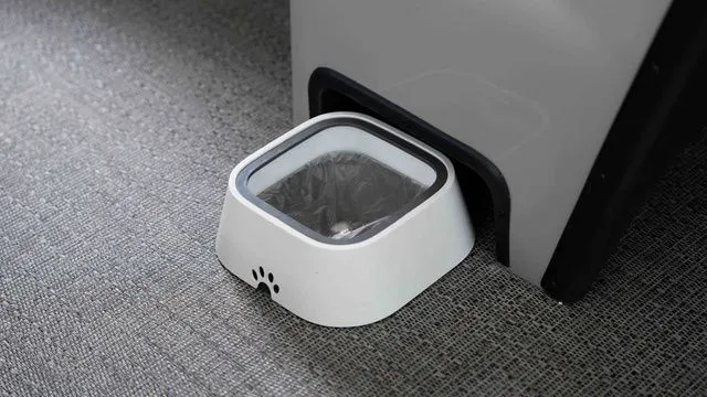 Slide: The Image of Barletta Sanza S22QC 2026 - 7