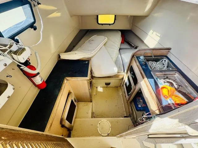 Slide: The Image of Stamas 26 Cuddy Center Console 1984 - 10