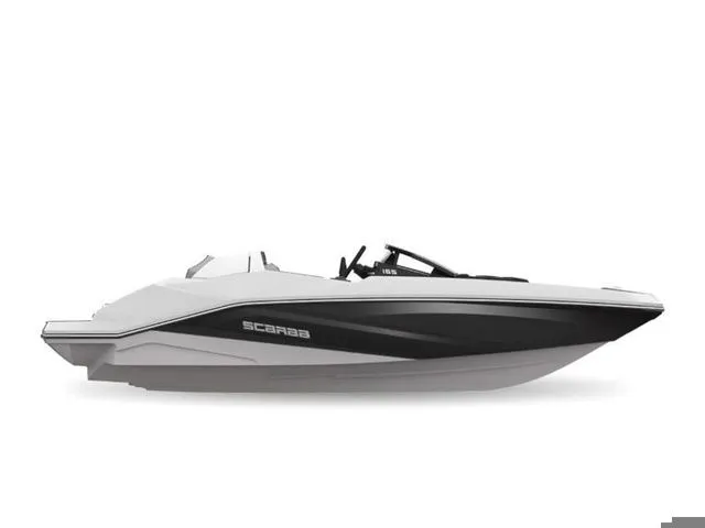 The Image of Scarab 165 ID 2020 - 1