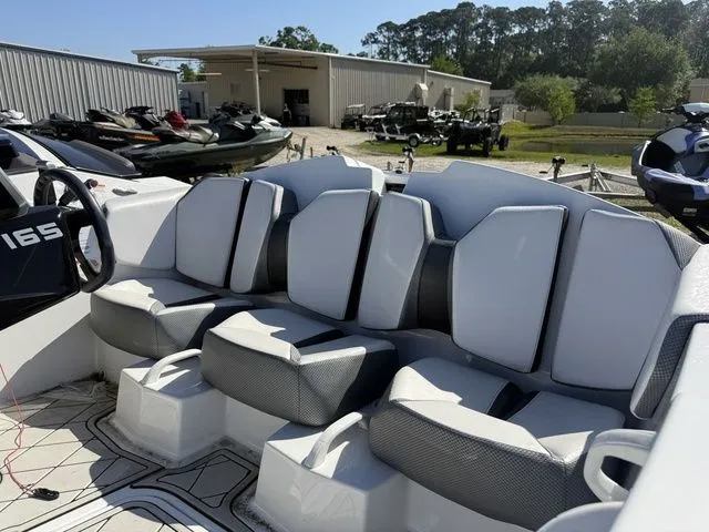 Slide: The Image of Scarab 165 ID 2020 - 11