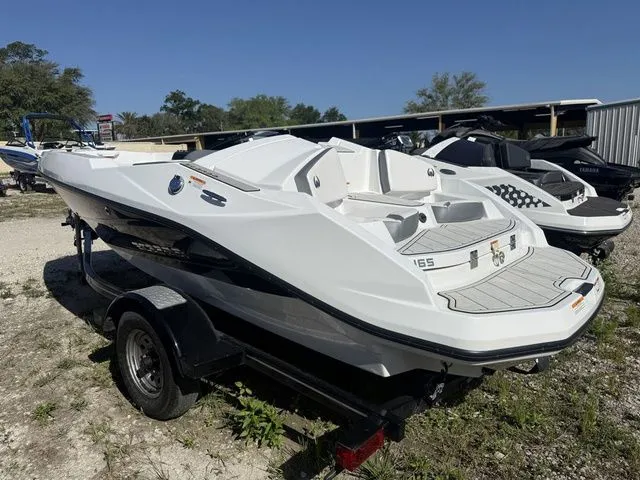 Slide: The Image of Scarab 165 ID 2020 - 4