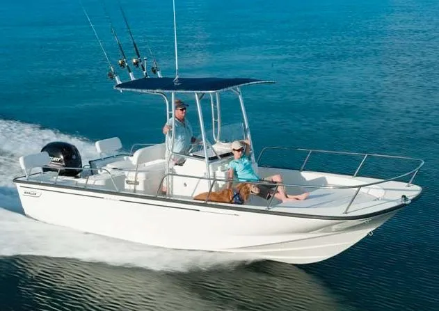 The Image of Manufacturer Provided Image: 2015 Boston Whaler 210 Montauk boat cruising on water with passengers. - 0