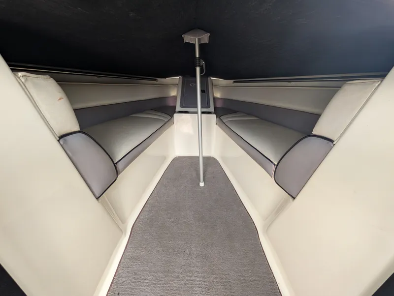 Slide: The Image of Cobalt 220 1995 - 5