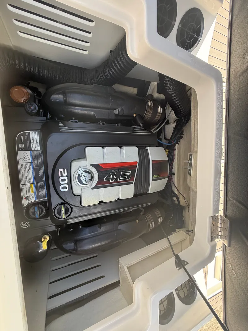 Slide: The Image of Sea Ray 190 Sport 2022 - 11