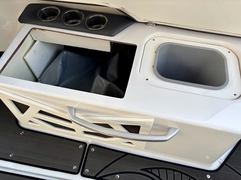 Slide: The Image of Scarab 285 ID 2023 - 20